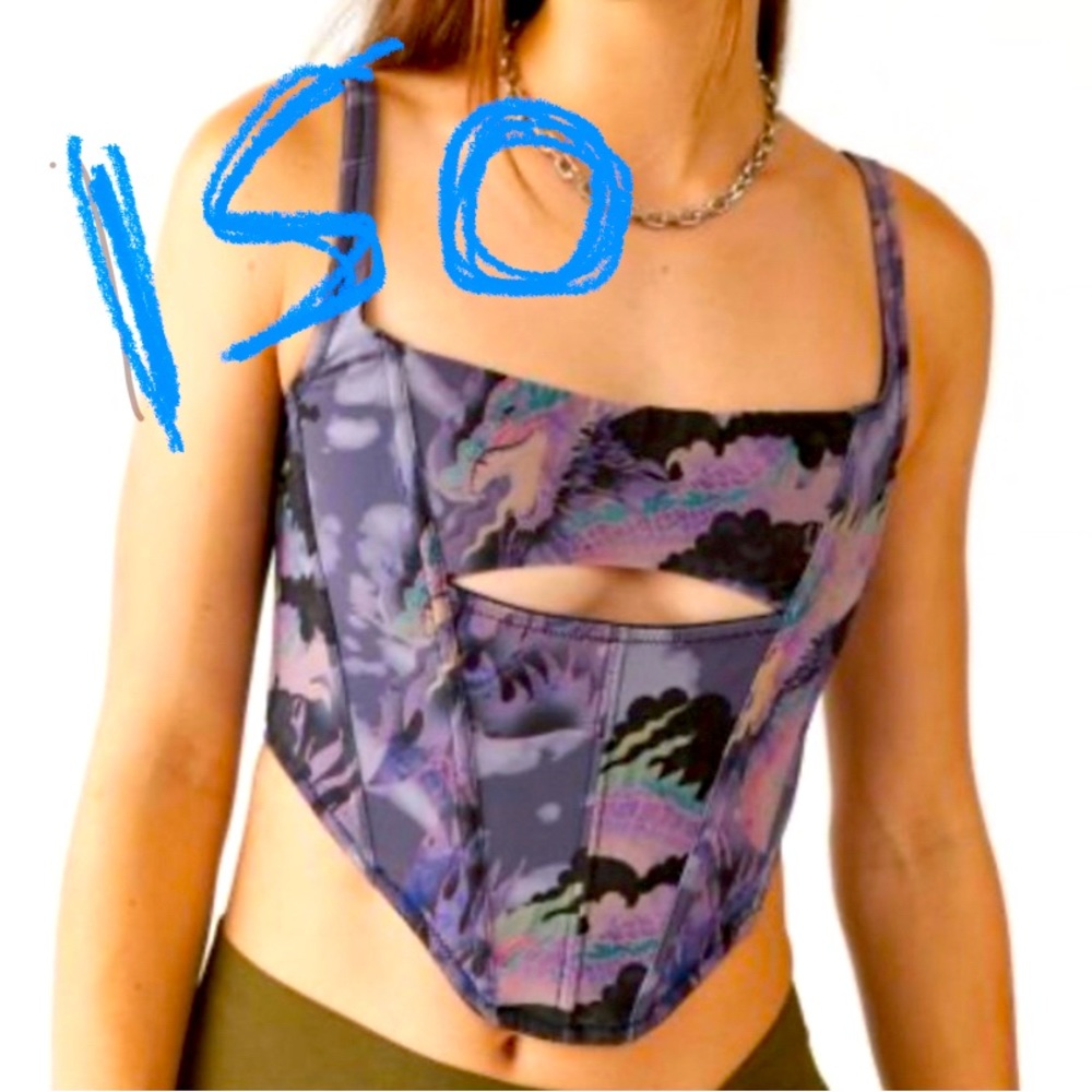 ISO spitfire corset. Size small or medium, even large might be fine.